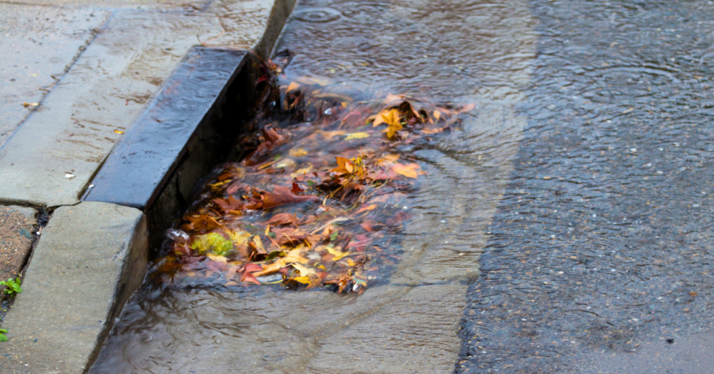 storm drain clogged with leaves