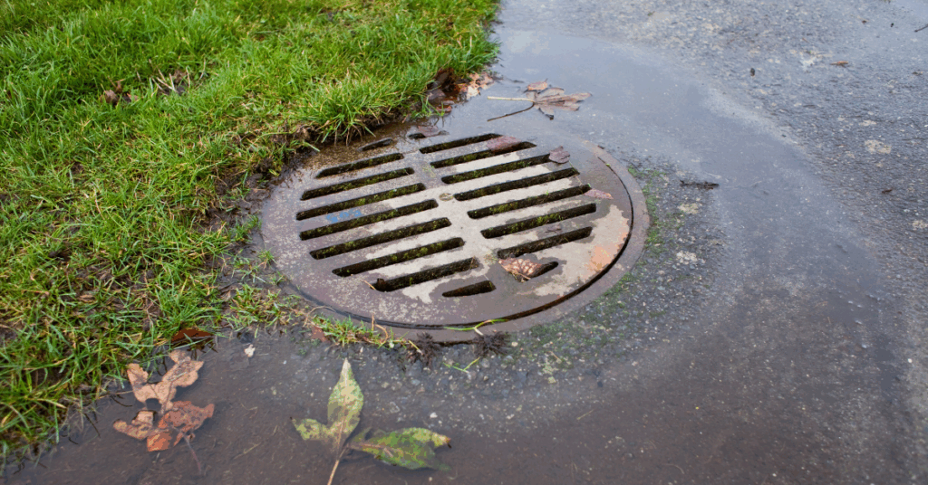 Stormwater drain being slowly filled by rain water